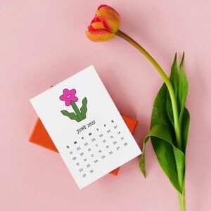 NEW - 2025 Whimsical Flowers Desk Calendar